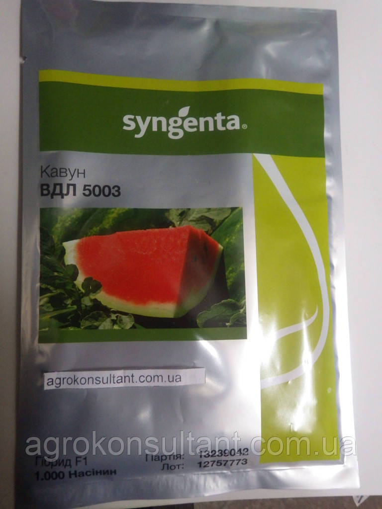 Насіння кавуна Арашан \ ВДЛ 5003 F1 (Syngenta), 1 000 насінин — середньоранній (64-68 днів), типу Кримсон Світ