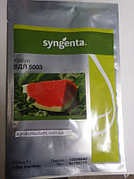 Семена арбуза Арашан \ ВДЛ 5003 F1 (Syngenta), 1 000 семян среднеранний (64-68 дней), типа Кримсон Свит