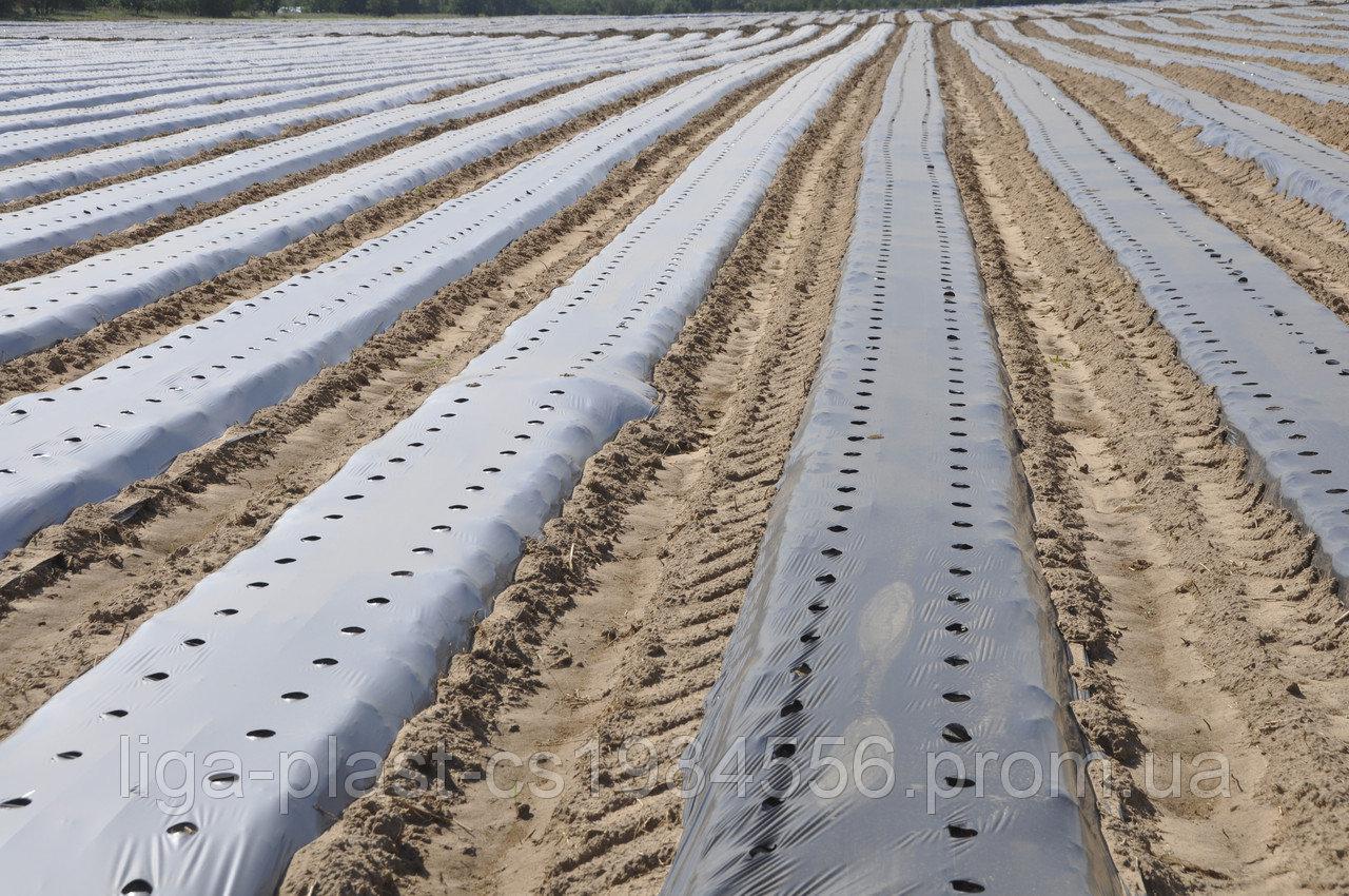 Плівка для мульчування з перфорацією 25*30 (40 мкм)1,2 м х 500м 24 місяці, фото 1