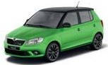 Автоаксесуари для Skoda Fabia 5J (New)