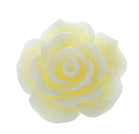 Кабошон Цветок, Роза, Смола, Белый, 20 mm x 20 mm, Фурнитура для изготовления бижутерии