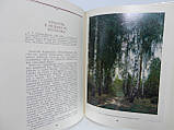 Кокільників М.П. Краєвиди Батьківщини (б/у)., фото 7