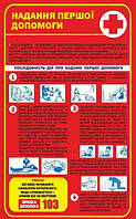 Стенды Медицина Первая Помощь