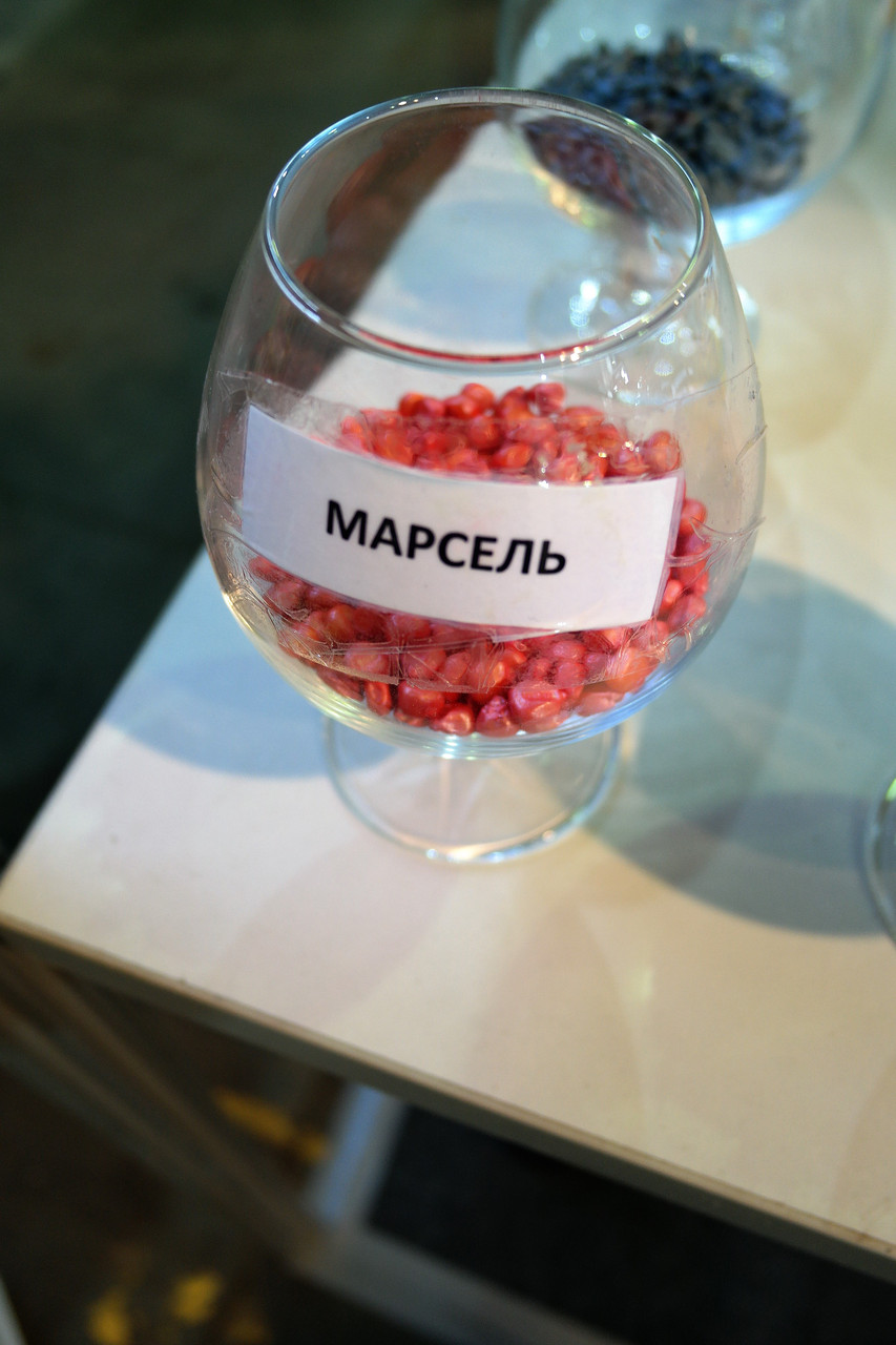 Насіння кукурудзи Марсель, ФАО 280, фр. екстра (Агро Ритм)