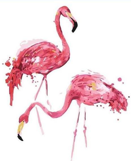 Картина за номерами Парочка фламінго