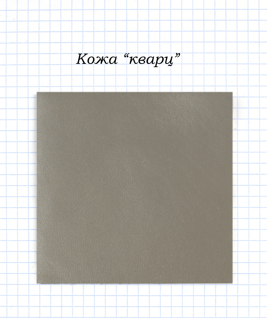 Шкіра "кварц"