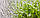 Флізелінові шпалери під фарбування Vliesfaser MAXX Nautilus 202 (12,5 x 0,53), фото 4