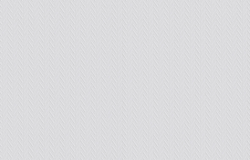 Флізелінові шпалери під фарбування Vliesfaser MAXX Bara 305 (12,5 x 0,53)