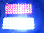 Стробоскопи LED 2-44 червоно/сині 12-24V.