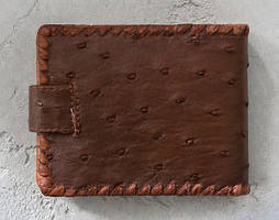 Візитниці з шкіри страуса і ската