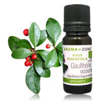 Вінтергрен (Gaultheria procumbens) / грушанка BIO Об'єм: 10 мл