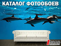 ОНОВЛЕНИЙ КАТАЛОГ ФОТОШПАЛЕР ВІД ПОЛОмаркет !