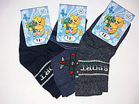 Шкарпетки  дитячі демісезонні "Версаль" 12 розмір на хлопчика.