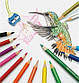 Олівці кольорові Faber-Castell 24 кольори "Замок",120124, фото 4