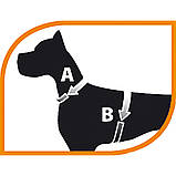 Шлея для собак AGILA 5 Ferplast (Ферпласт) зі штучної шкіри, колір в асортименті, фото 5