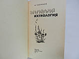 Сабунаїв В. Цікава іхтіологія (б/у)., фото 5