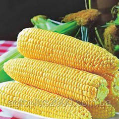 Насіння Кукурудза цукрова Спірит F1, 500 грамів Syngenta Садиба Центр, фото 1