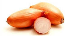 Цибуля сіянка озима Бамбергер 0,5 кг TOP Onion, фото 3