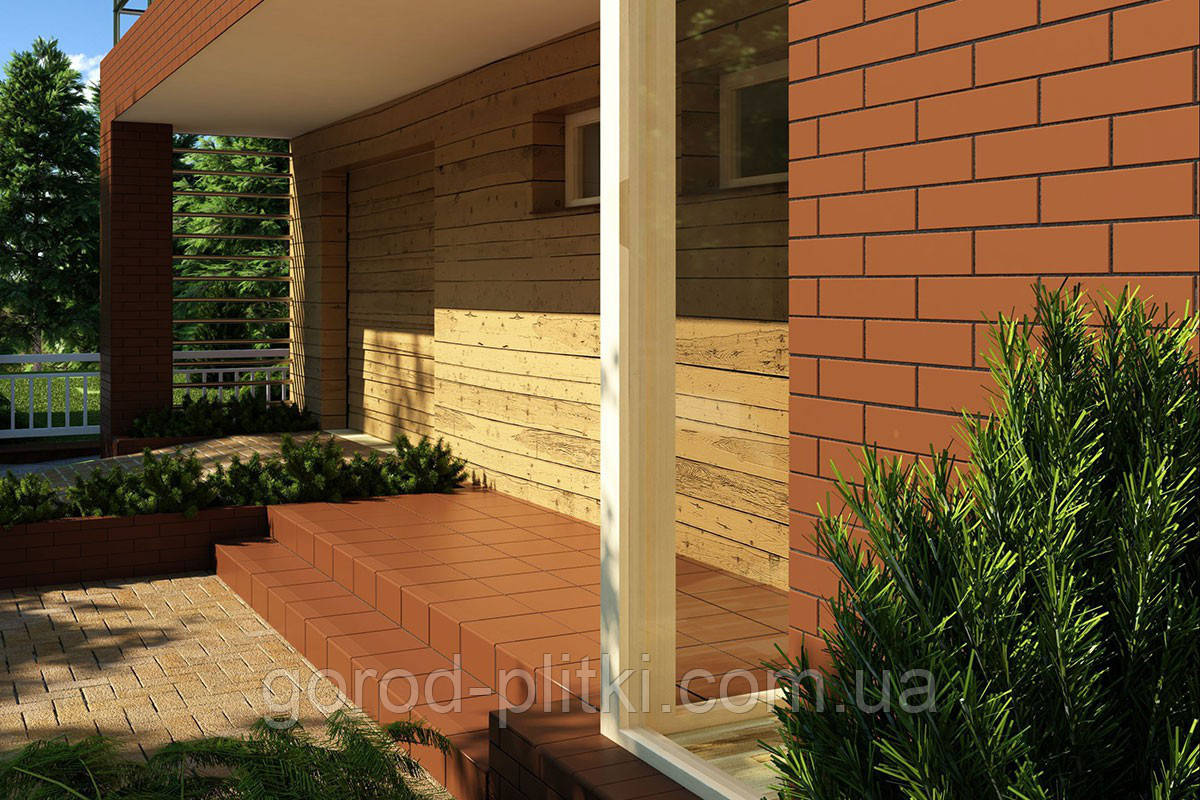 Фасадна плитка Rot 65x245, фото 1