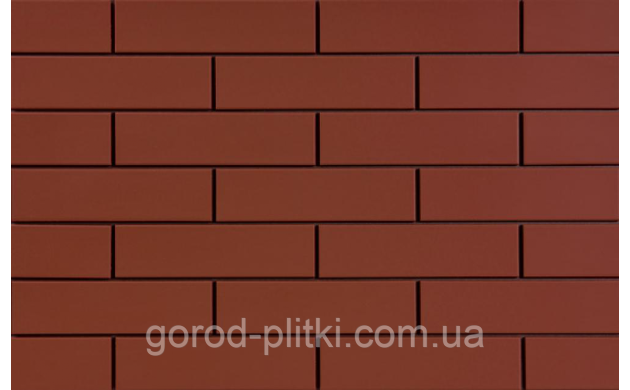 Фасадна плитка Rot гладка 65x245, фото 1