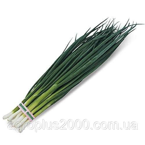 Насіння Лук на перо Вулкан 20 грамів Kitano Seeds