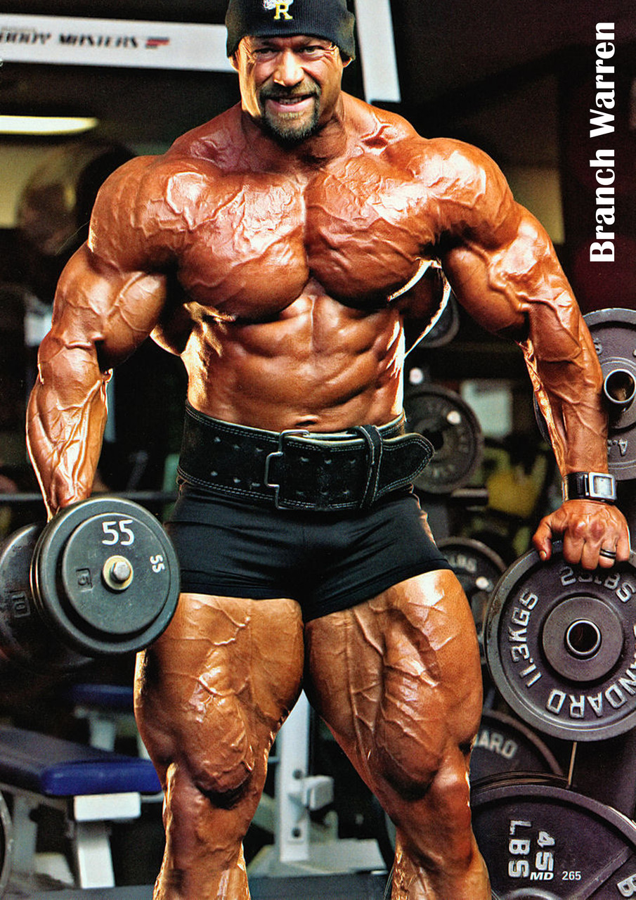 Плакат А3 Бренч Уоррен 002, фото 1