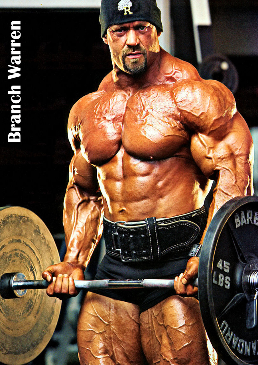 Плакат А3 Бренч Уоррен 003, фото 1