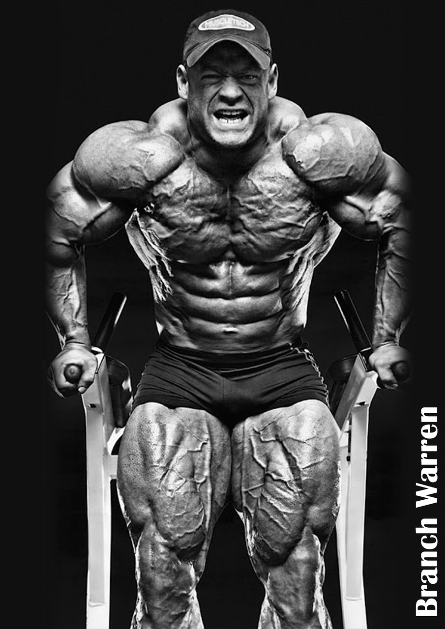 Плакат А3 Бренч Уоррен 004, фото 1