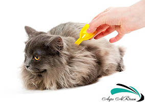 Протипаразитарні препарати для котів