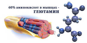 Амінокислота L-Глютамін PROFIPROT 100 г фарм, фото 4
