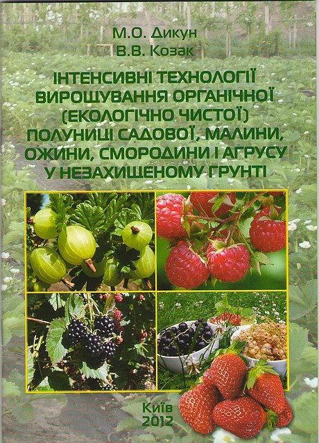 Дикун А. Інтенсивні технології вирощування полуниці