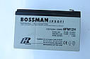 Акумулятор 12 V 12 Ah Bossman profi 6FM12 — LA12120, фото 8