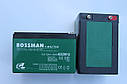 Акумулятор 12 V 12 Ah Bossman-Master 6DZM12E, фото 7