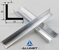 Кутник алюмінієвий 25х25х2 мм без покриття ПАС-1363 (БПО-0914)
