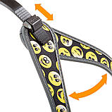 Шлея для собак Ferplast Ферпласт AGILA FASHION 3 кожзам з яскравим принтом, колір в асортименті, фото 5