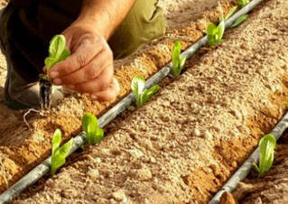 Чим прочистити крапельний полив