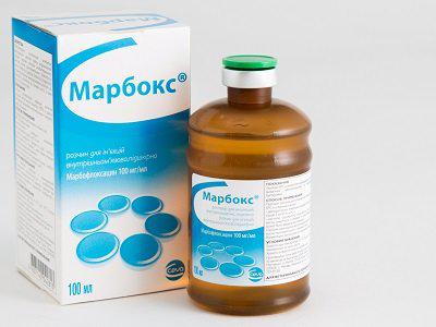 Марбокс (марбофлоксацин 100 мг) 10% 100 мл антибіотик широкого спектра дії для КРС і Samba.