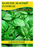 Насіння базиліка зелений Геновезе, 0,2кг