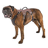 ERGOTREKKING P MEDIUM Ferplast Ферпласт Шлея для собак ергономічна шість точок кріплення (коричневий, чорний), фото 4