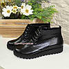 Черевики жіночі чорні на шнурівці, натуральна шкіра "пітон", фото 9