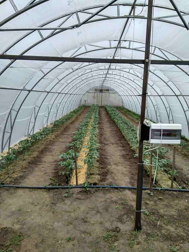 фермерські теплиці з плівки