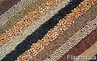 Утилізація зерна та відходів зернових культур