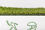 Штучна трава Virgin, фото 2