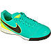 Nike TIEMPO LEGEND VI TF JR 819191-307, фото 4