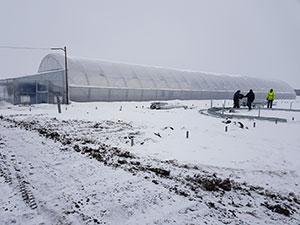 готові фермерські теплиці теплиці під плівку та обладнання
