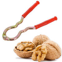 Горіхоколка побутова