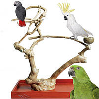 Ігрові стенди, присады для папуги