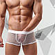 Чоловічі Шортики брифи-боксери сіточка / Сексуальні труси в сітку, фото 2