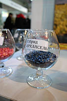 Агровыставка "Агропром-2018", г. Днепр, 28.02.-02.03.18 36