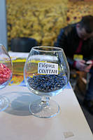 Агровыставка "Агропром-2018", г. Днепр, 28.02.-02.03.18 47